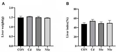 Nano-Selenium Alleviates Cadmium-Induced Acute Hepatic Toxicity by Decreasing Oxidative Stress and Activating the Nrf2 Pathway in Male Kunming Mice